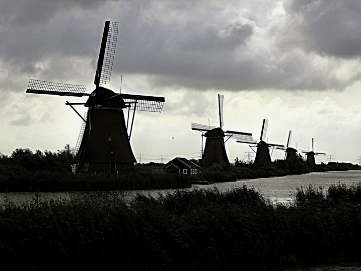 NL06.08.19.-09.42.45